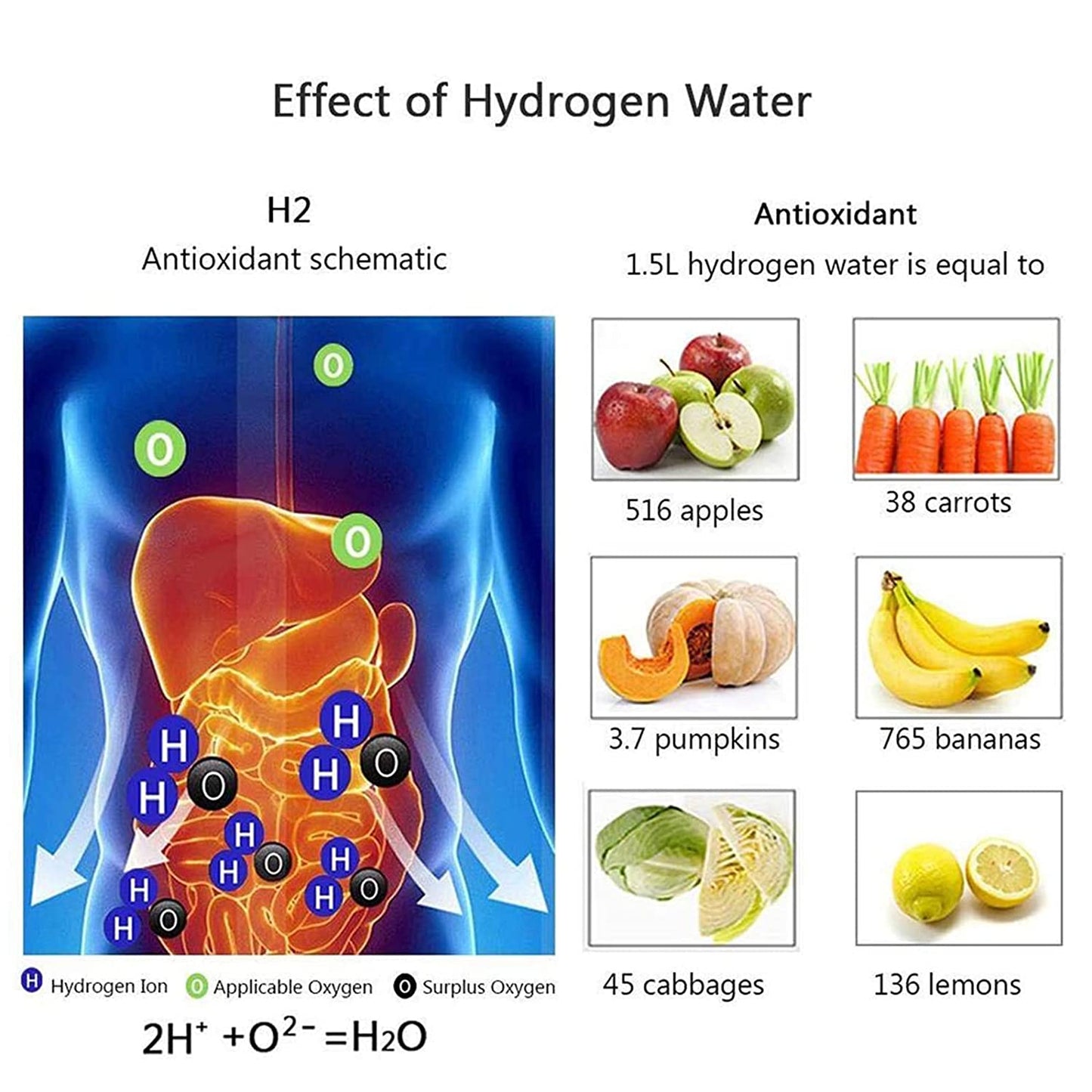 Hydrogen Infused Water Bottle
